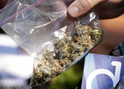 Новочеркасские полицейские изъяли почти полкилограмма марихуаны