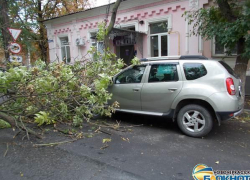 Сильный ветер валит деревья, рвет провода, повреждает здания и машины в Новочеркасске