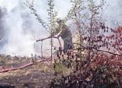 Три садовых участка сгорели в новочеркасском микрорайоне Молодежный