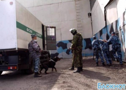 В новочеркасской ИК-14 задержана посылка с наркотиками