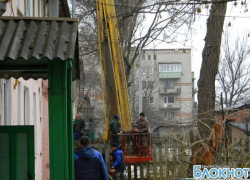 На улице Каштановой в Новочеркасске упало очередное дерево