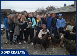 «Бездомные животные нуждаются в вашей помощи», - волонтеры Новочеркасска