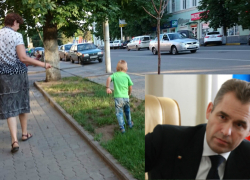 Павел Астахов проверит информацию о нашумевшей прогулке мальчика на поводке в Новочеркасске