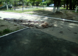 Резкий порывистый ветер повалил несколько десятков деревьев в Новочеркасске