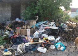 Три месяца на улице Майской Новочеркасска лежит мусорная гора