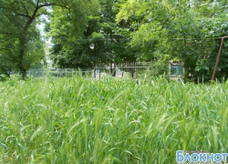 В Новочеркасске 4-миллионный конкурс на покос травы выиграл посредник