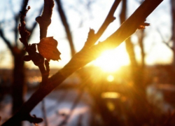 Новочеркасску обещают пасмурные и теплые праздники