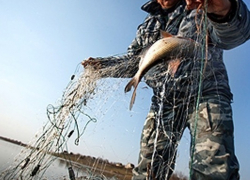 В Новочеркасске будут отлавливать рыбаков-браконьеров