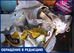 «Соседствуем с мусором и крысами», - жительница Новочеркасска