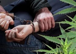 В Новочеркасске у мужчины нашли крупную партию «улётной» травки