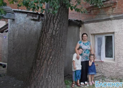 В Новочеркасске вековой тополь корнями поднимает фундамент жилого дома