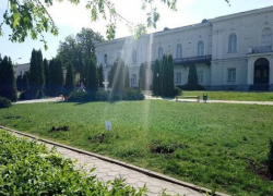 Напротив Атаманского дворца в Новочеркасске неизвестные выкопали туи