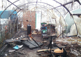 В Новочеркасске сгорела одна из крупнейших в России теплиц с кактусами 