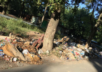 «Помогите жителям забытого  властями поселка Донского», - жительница Новочеркасска