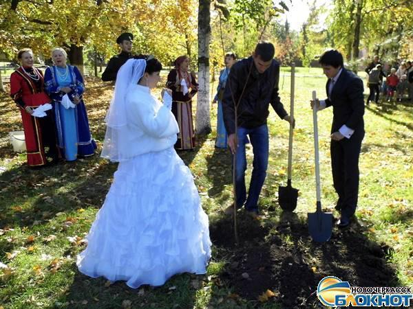 В Новочеркасске молодожены присоединились к высадке деревьев, выйдя из ЗАГСа