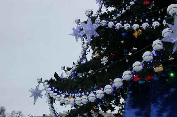 27 декабря в Новочеркасске откроют елку и ограничат движение транспорта