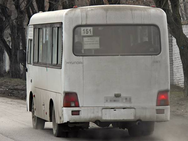 Мэр Новочеркасска обязал маршрутки перевозить льготников бесплатно