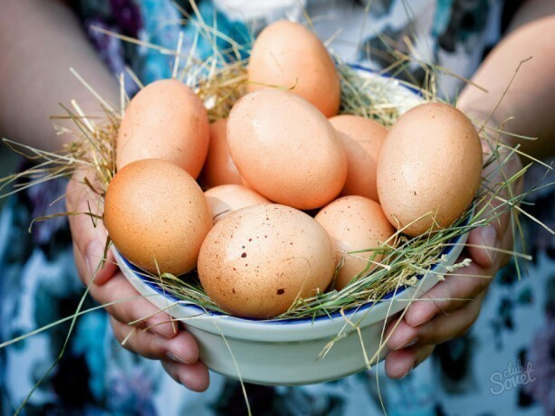 Подозрительные куриные яйца без документов обнаружили в детском саду Новочеркасска