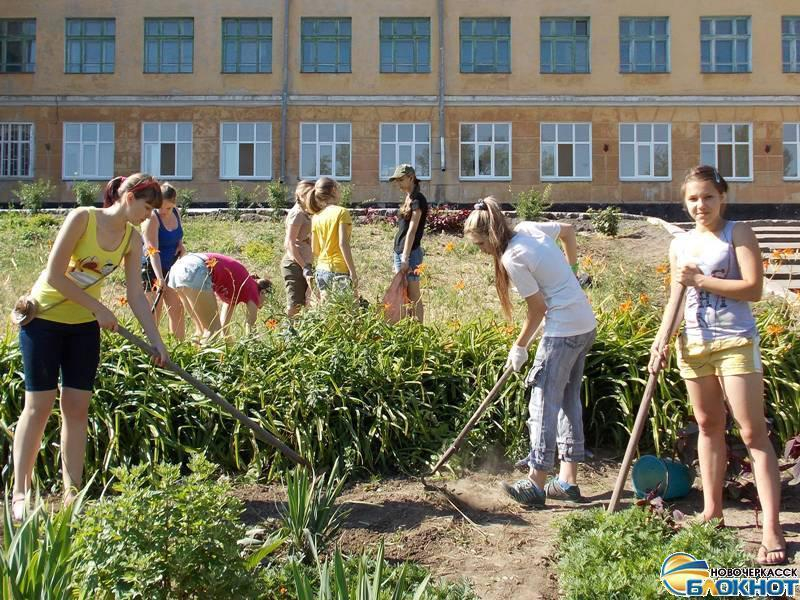 В Новочеркасске за уход за клумбами школьникам заплатили деньги