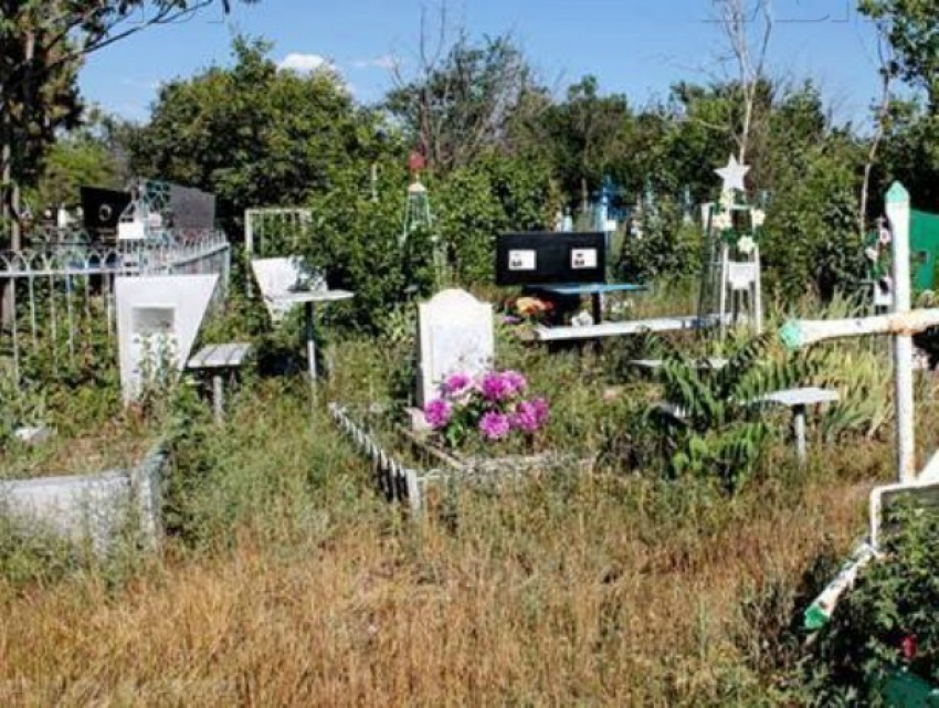 Незаконные свалки с кладбищ Новочеркасска уберет местный предприниматель