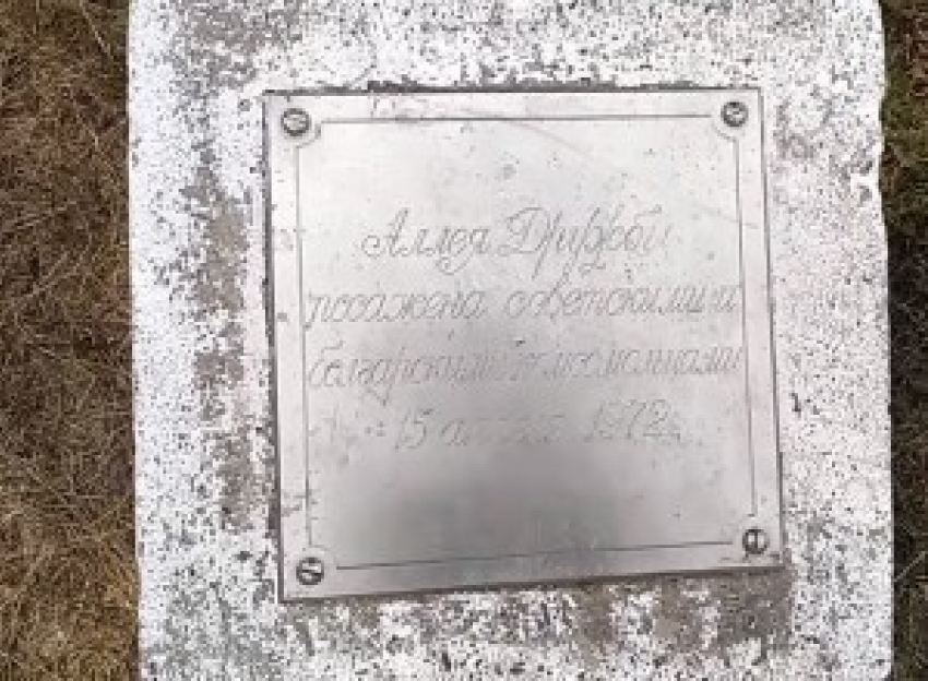 Уже почти 70 жителей Новочеркасска подписались за восстановление   аллеи дружбы