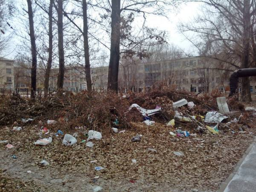 На вывоз несанкционированных свалок в Новочеркасске потратят 3 миллиона