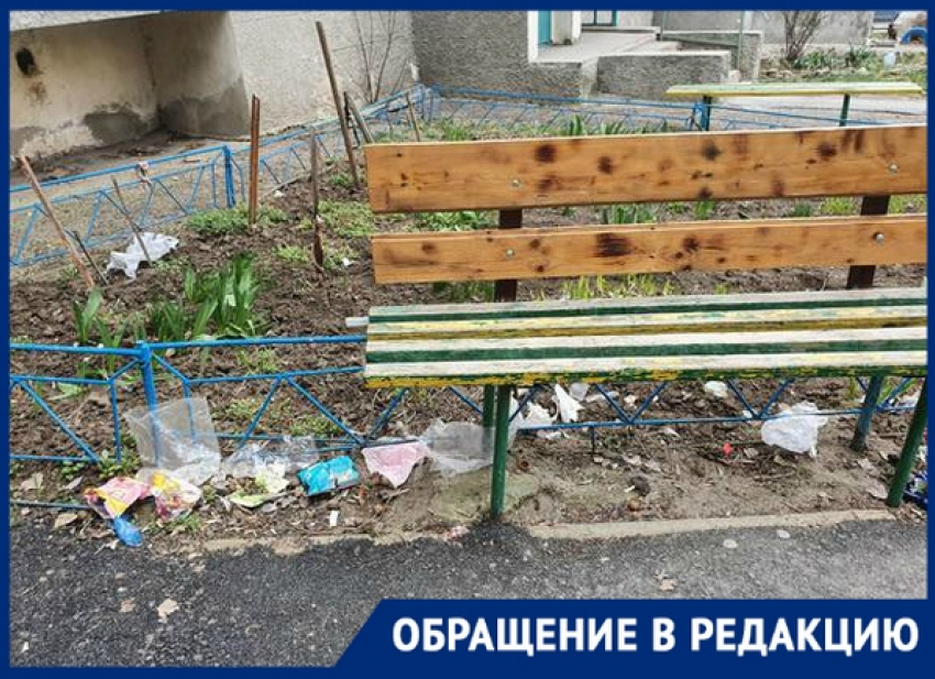 «Грустно от этого зрелища»: новочеркасцы готовятся выйти на большой субботник