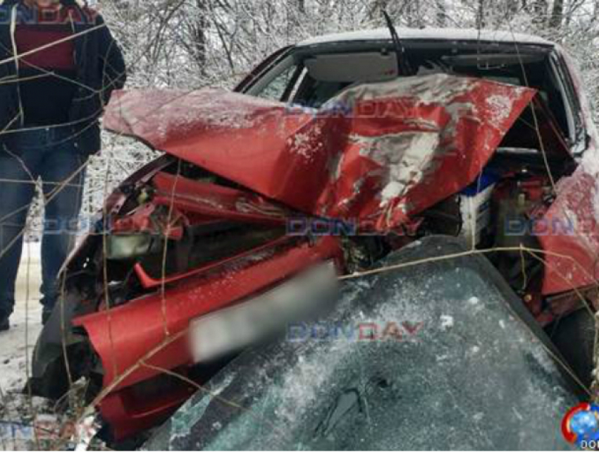 «Калина» влетела в дерево на трассе под Новочеркасском