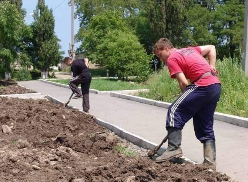 В Новочеркасске старшекласников не хотят брать на работу