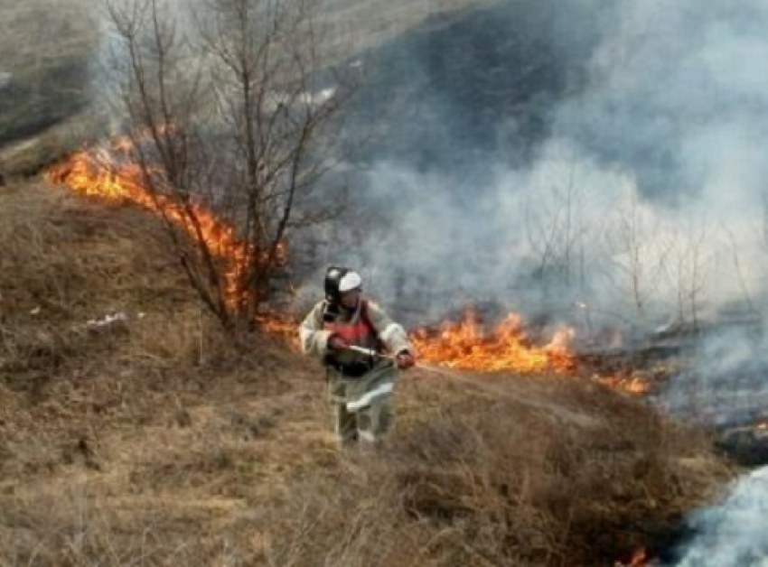 В Новочеркасске увеличилось количество ланшафтных пожаров