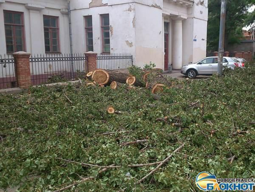 В Новочеркасске на улице Троицкой спилили деревья для замены водопровода