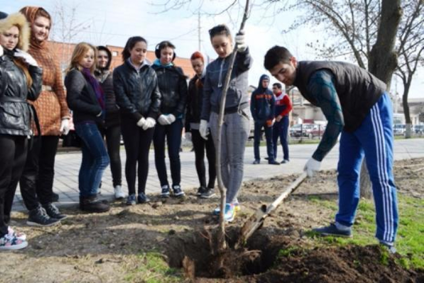 В Новочеркасске прошел день весеннего древонасаждения