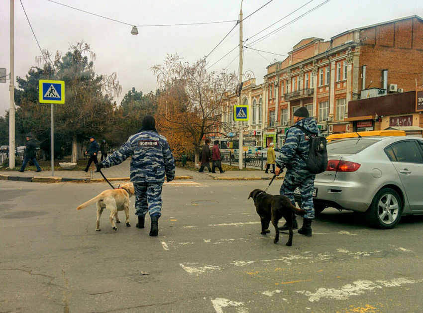 Полицейские собаки без намордников навели ужас на жителей Новочеркасска