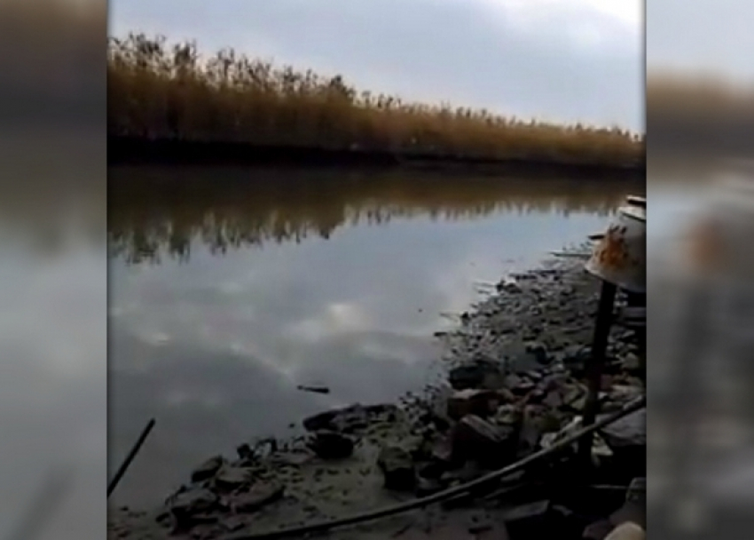 Загубили: жители Новочеркасска обвинили чиновников-единороссов в мельчании рек 