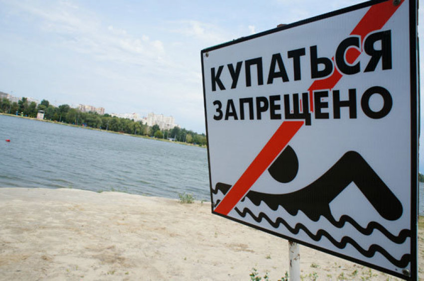 Эпидемиологи не рекомендуют купаться на пляже поселка Донской