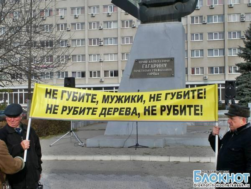 В Новочеркасске прошел митинг против вырубки части рощи под строительство детских садов