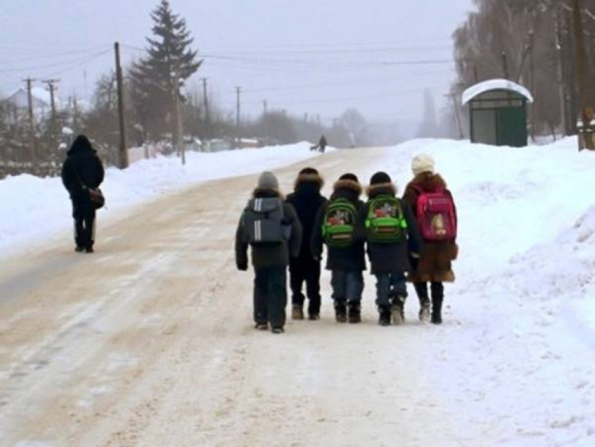 Школы Новочеркасска заработали по обычному расписанию