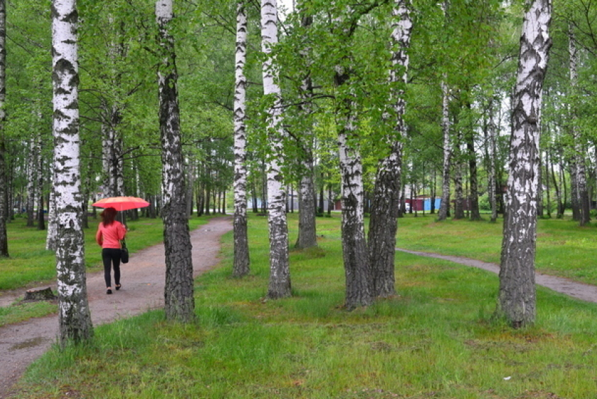 В Новочеркасск снова вернулись дожди