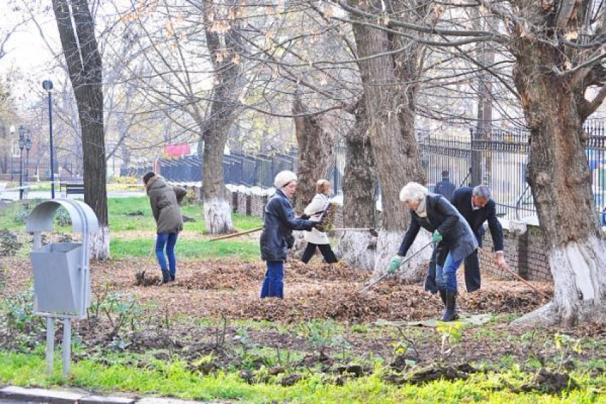 На озеленение Новочеркасска мэрия готова потратить 2 миллиона рублей