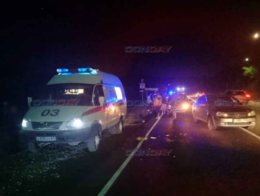 Бредущий по ночной дороге, пьяный мужчина попал под колеса иномарки под Новочеркасском