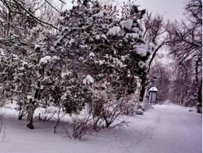 Праздничные выходные принесут Новочеркасску похолодание и снегопад