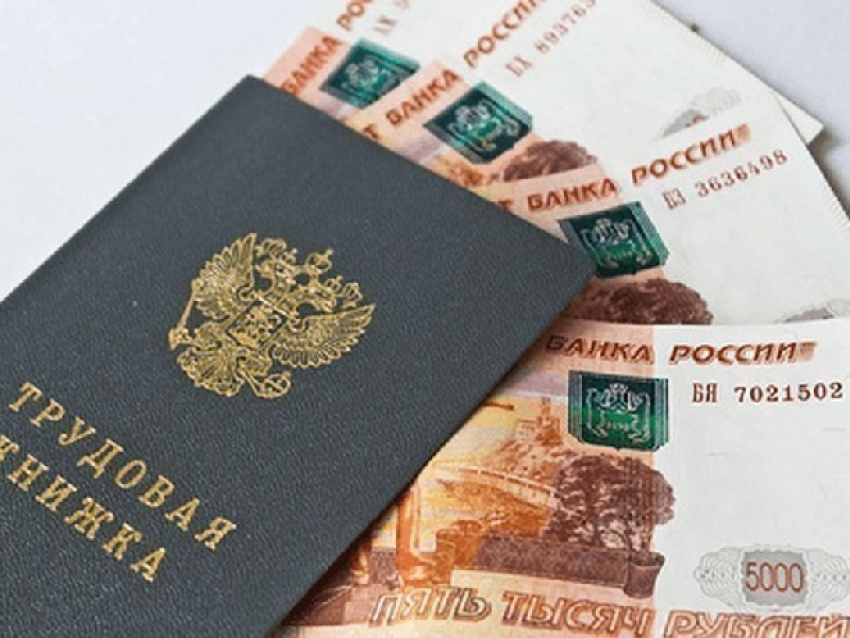 Власти Новочеркасска выплатили 15 миллионов рублей задолженности по заработной плате