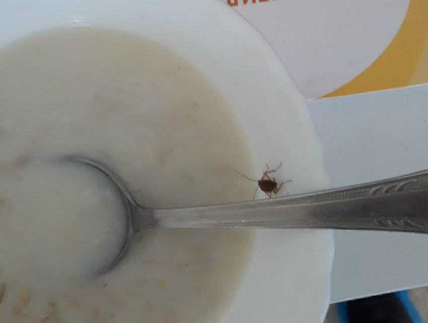 Таракан в тарелке с кашей и дыры в потолке в городской больнице БСМП шокировали жительницу Новочеркасске