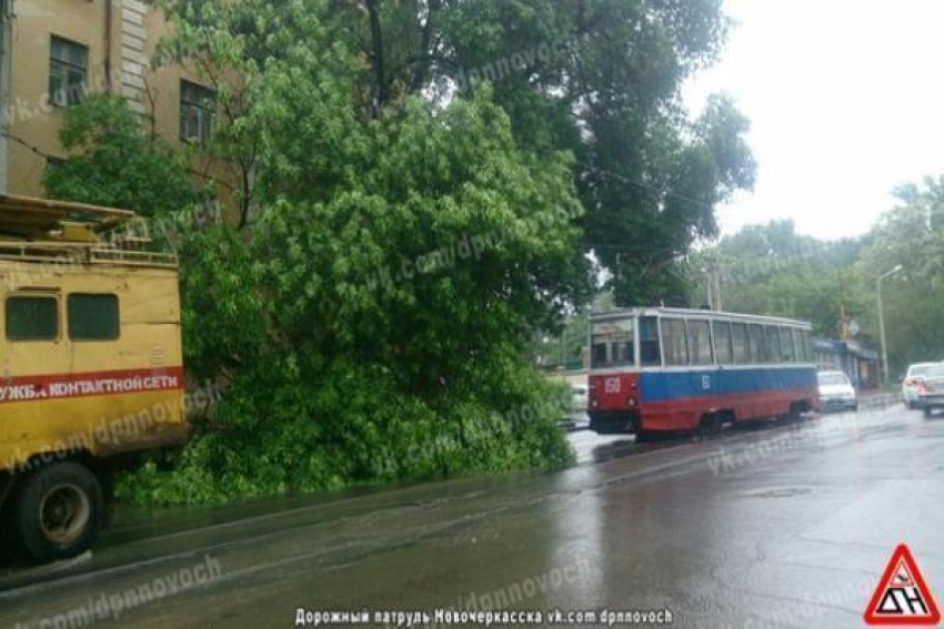 Упавшее дерево остановило трамвайное сообщение