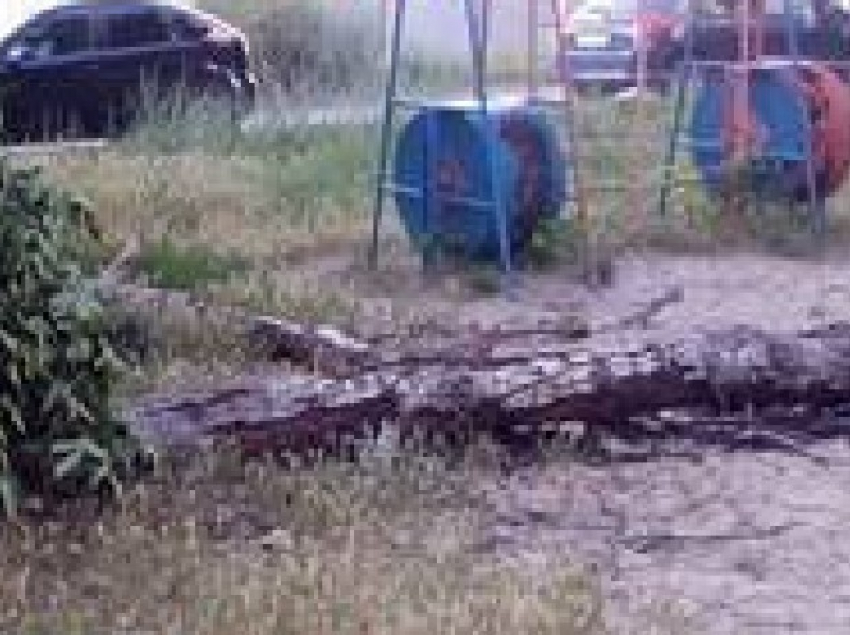 Упавшее дерево третий день лежит на детской площадке в Новочеркасске