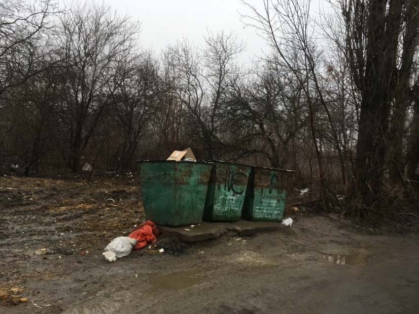 Переполненные баки и кучи мусора вокруг: в Новочеркасске из 32 проверенных  контейнерных площадок 14 оказались в плачевном состоянии
