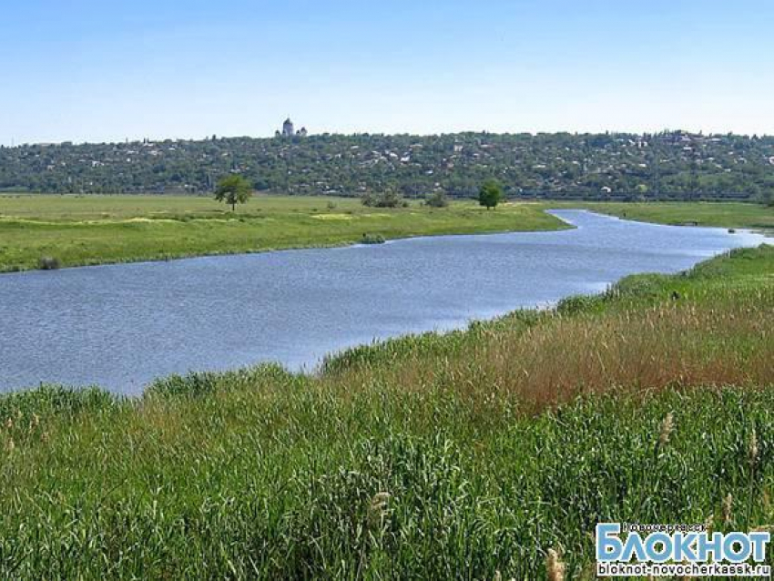 В Новочеркасске, возможно, появится городской пляж