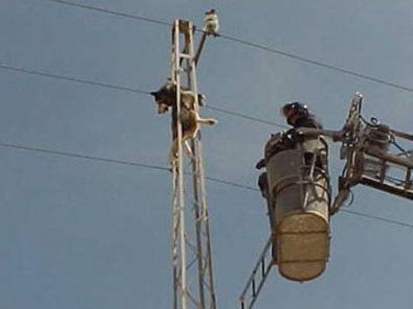 5 марта в Новочеркасске не будет света в низовке, на двух улицах Донского и на Баклановском