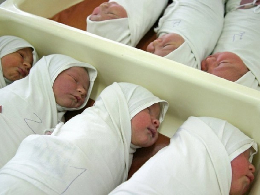 В Новочеркасске продолжает падать рождаемость населения