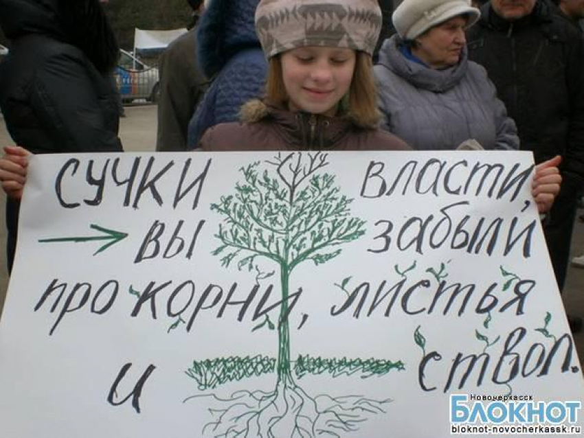 Защитники рощи в Новочеркасске угрожают властям радикальными протестами